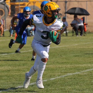 Tanner Wood