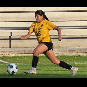 Melissa Ajtun mugshot