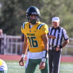 Dominic Ingrassia mugshot