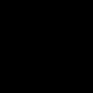 Luis Berdecia Jr mugshot