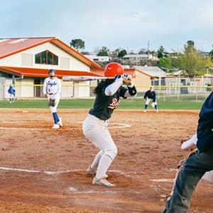 Millie Kellogg mugshot