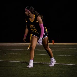 Yesenia Fonseca mugshot