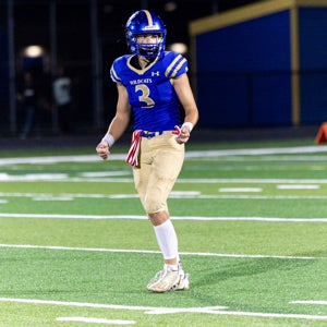 Justin Ghibea mugshot