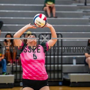 Alyssa Scholma mugshot