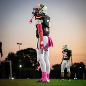 Michael Ferreira mugshot