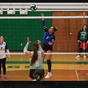 Laila Estrada mugshot