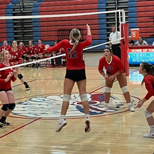 Baylie Johnston mugshot