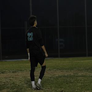 Josue Cesena