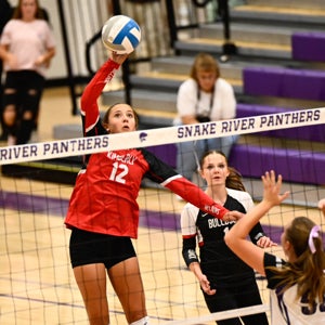 BROOKLYN VERWEY