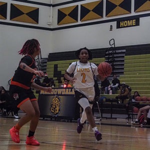 Bay'Shanna Drake mugshot