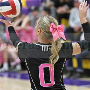 Brynn Gardina mugshot