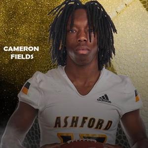 Cameron Fields mugshot