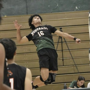 Abel Collado-Dominguez mugshot