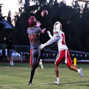 Shayne Falkenberg mugshot