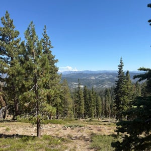 Wayne Dooley mugshot