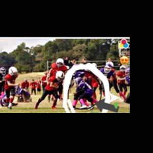 Jumari Flowers mugshot