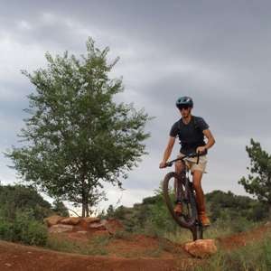 Reggie Harmon mugshot