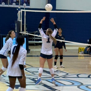 Caitlyn Watson mugshot