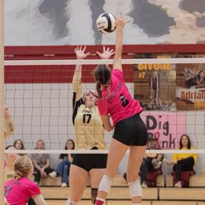 Sofie Stafford mugshot