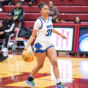 Yarianna Torres mugshot