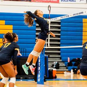 Violette Zayas mugshot