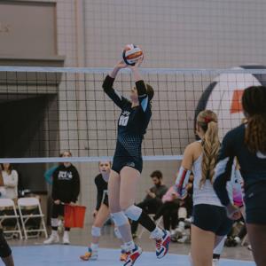 Mackenzie Porter mugshot