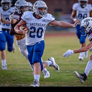 Preston Stephens mugshot