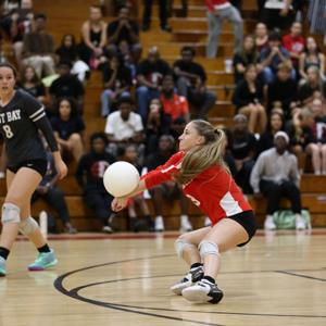 Ava Verrastro mugshot