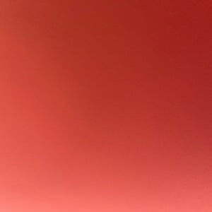 Greyson Martin mugshot