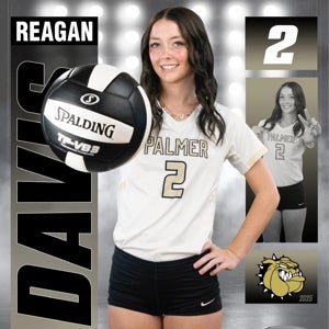 Reagan Davis mugshot