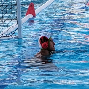 Levi Pacheco mugshot