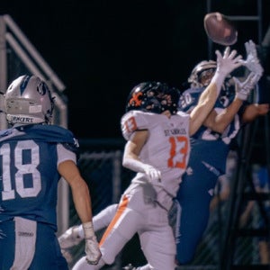 Sheko Gjokaj mugshot