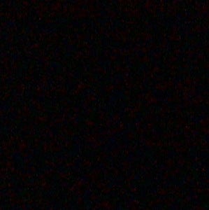 Christopher Veal mugshot