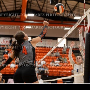 Hailey Lucas mugshot