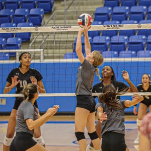 Elizabeth Cleveland mugshot