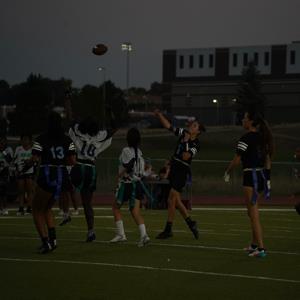 Linda Archuleta mugshot