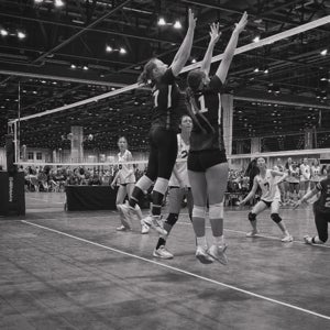 Sadie Gutshall