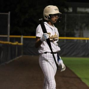 Audrina Torres mugshot