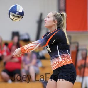 Isabel DeTulleo mugshot