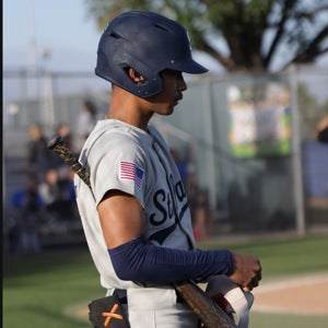 Troy Sibolboro mugshot