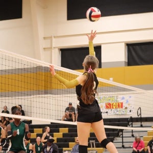 Scout Robinson mugshot