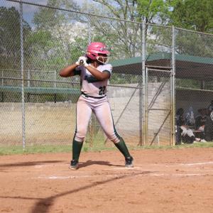 Brittney Robinson mugshot