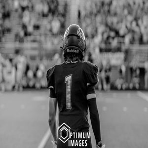 Hudson Williams mugshot