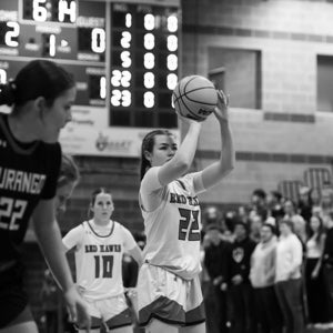 Landree Johnson mugshot