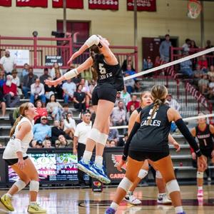 Payden Pitman mugshot