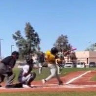 Troy Pellegrini mugshot