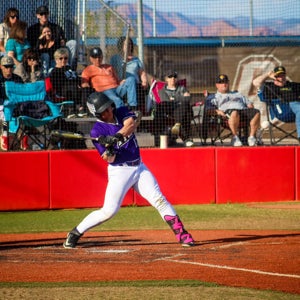 Connor Higgins