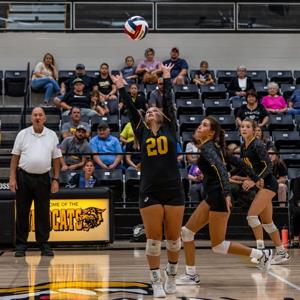 Janalyn Kralicek mugshot