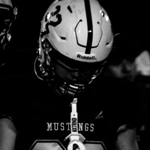 Matt Carlton mugshot