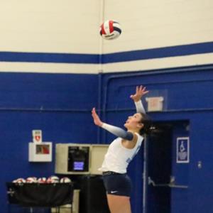 Hailyn Haskins mugshot